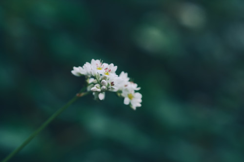 昆山小程序开发